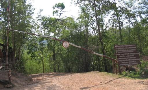 25563135-M.jpg