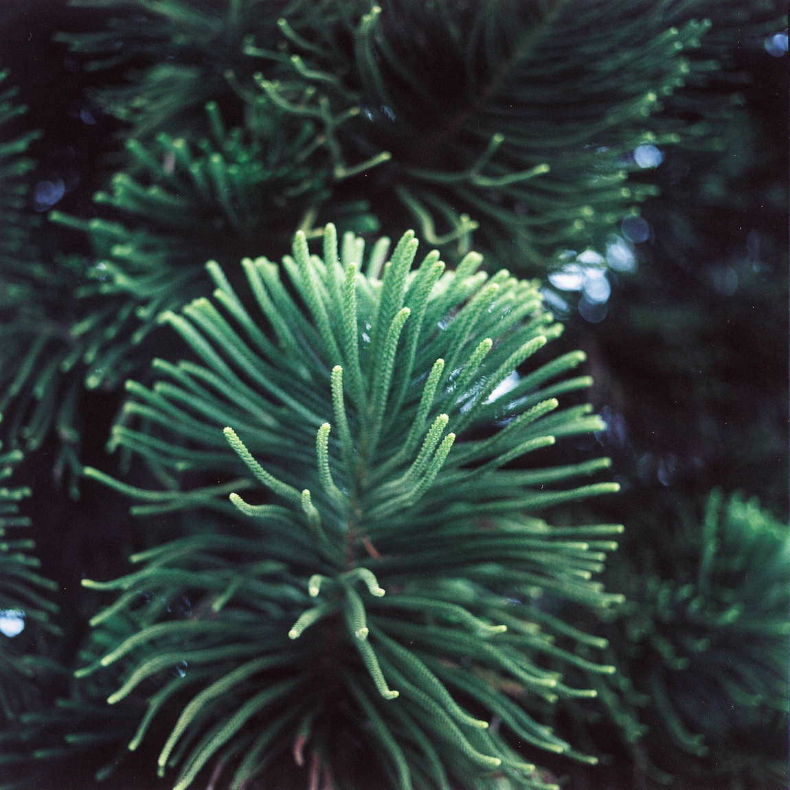 25600055243_92c3e92363_k.jpg