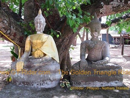 257577=15698-wat-si-ping-muang-008.jpg