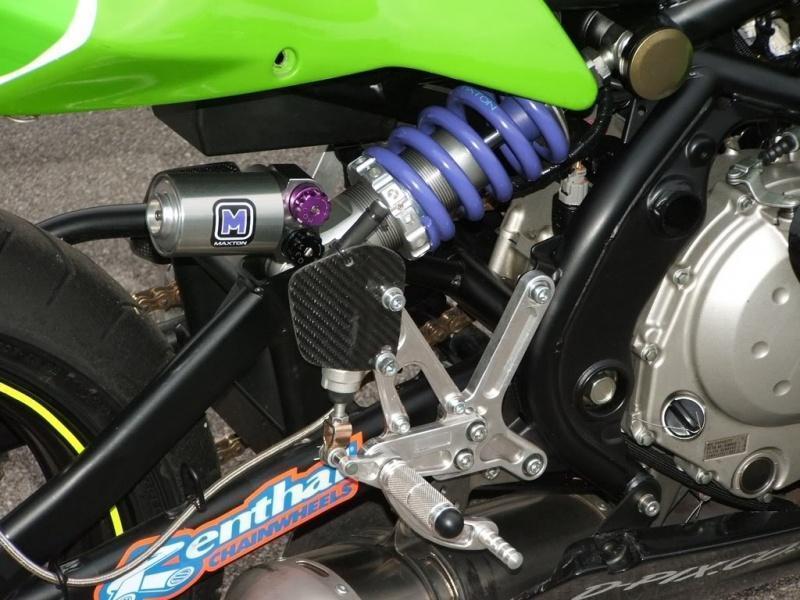 263020=207-GreenER6shock.jpg