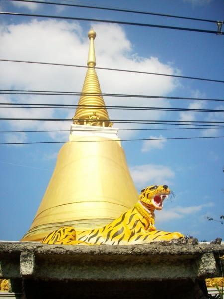 265267=1100-krabi%20trip%2017j.jpg