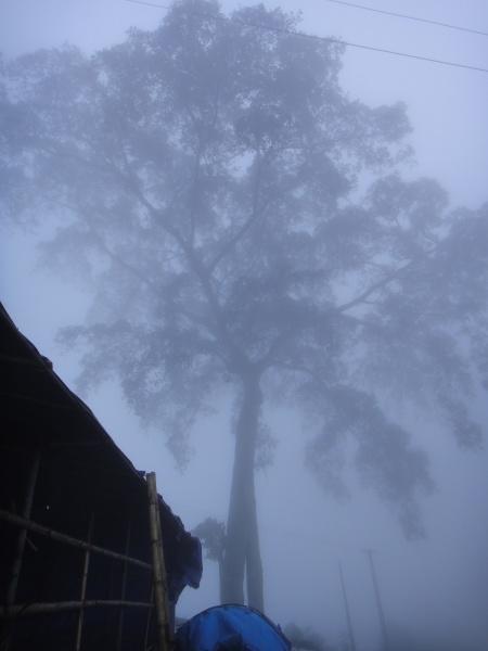 265408=1118-DSC02257.jpg