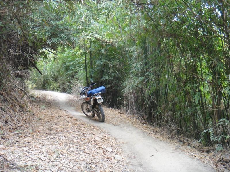 265408=1125-DSC02281.jpg