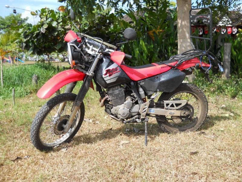 Purchase Report 03 Honda Xr250 Baja Gt Rider Motorcycle Forums