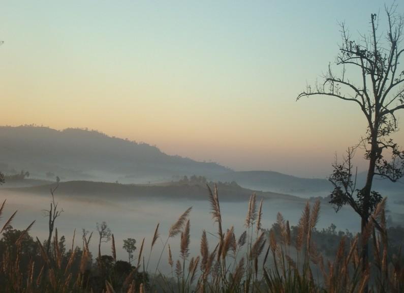 267736=3227-DSC01082.jpg