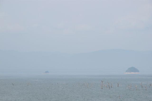267783=3252-IMG_5029.jpg