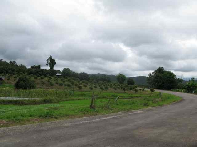 270285=4538-IMG_6331.jpg