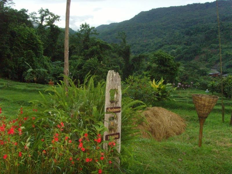 272014=5515-30%20Bo%20Luang%20View%202.jpg