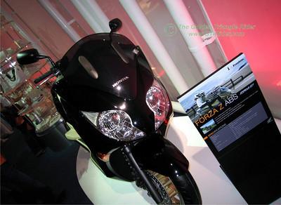 272301283_oNuez-S.jpg