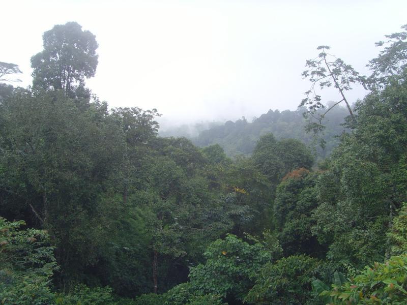 272628=5641-Pahampok%205.jpg