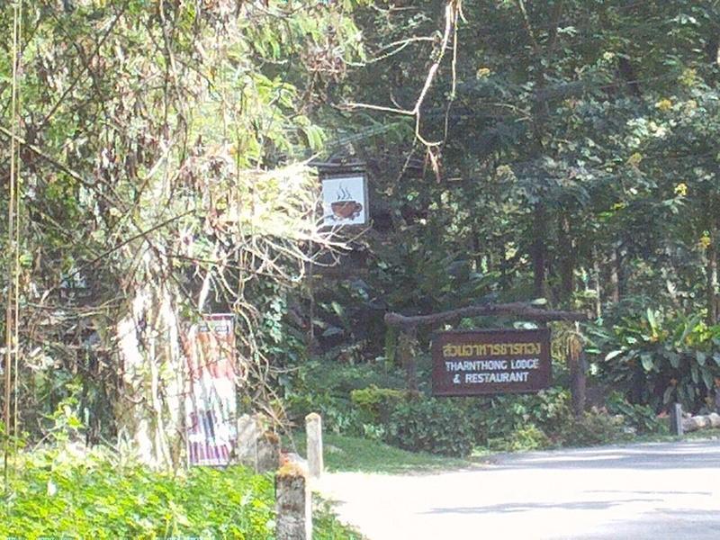 273318=6024-DSC00398.jpg