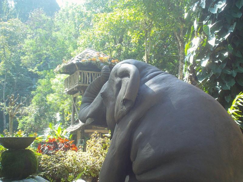 273318=6045-DSC00428.jpg