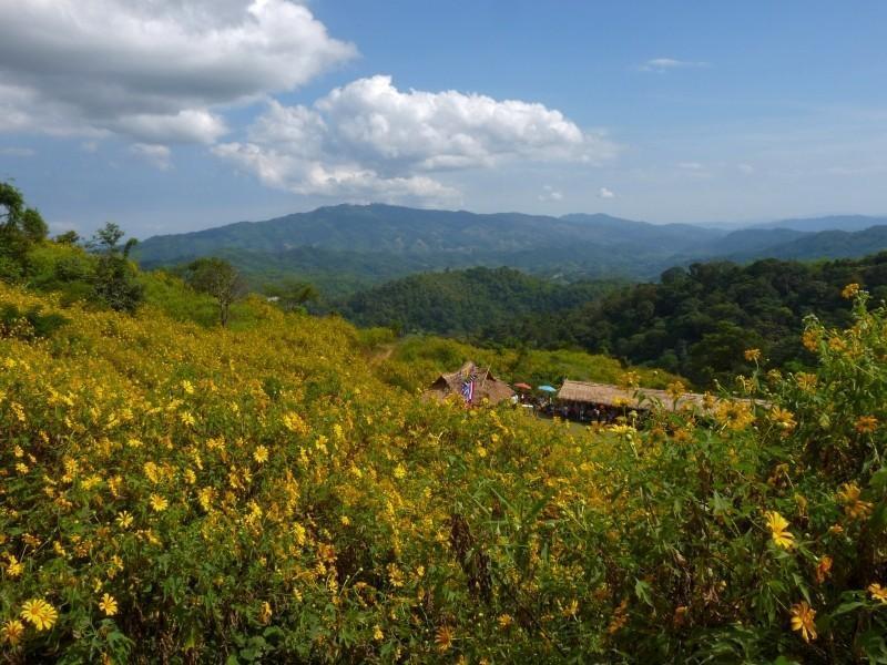 273434=6101-doi-hua-mae-kham.jpg