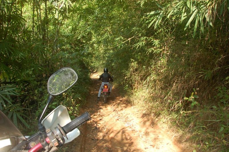 273470=6175-Lam%20Nam%20Kok%20Nov%2011%206.jpg