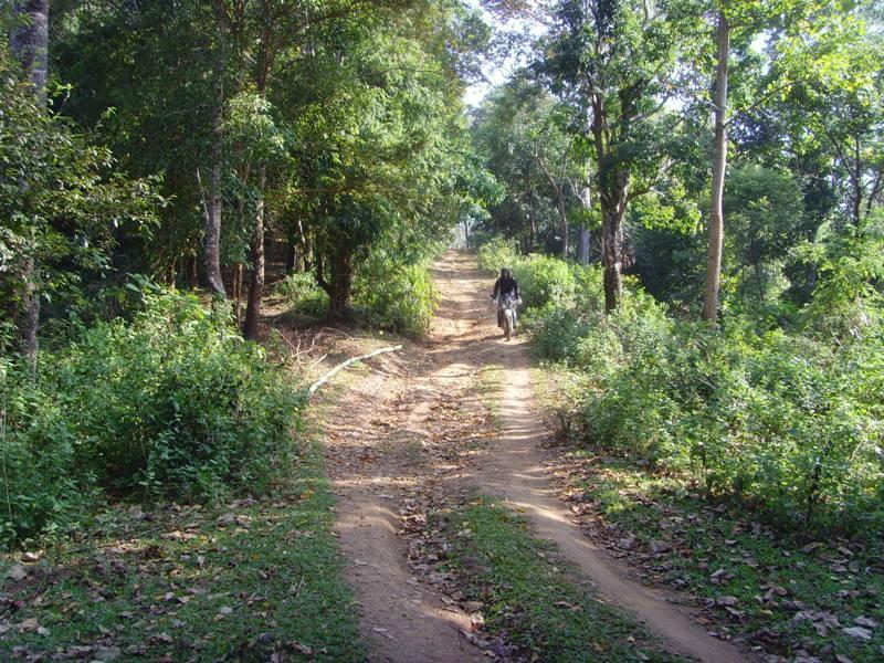 273470=6176-Lam%20Nam%20Kok%20Nov%2011%207.jpg
