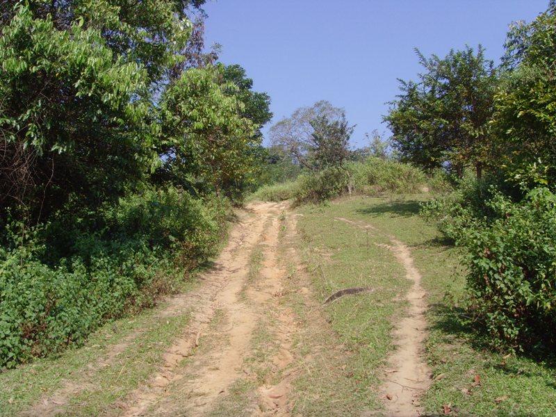 273470=6181-Lam%20Nam%20Kok%20Nov%2011%2012.jpg