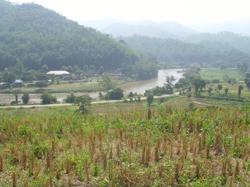 273470=6195-Lam%20Nam%20Kok%20Nov%2011%2026.jpg