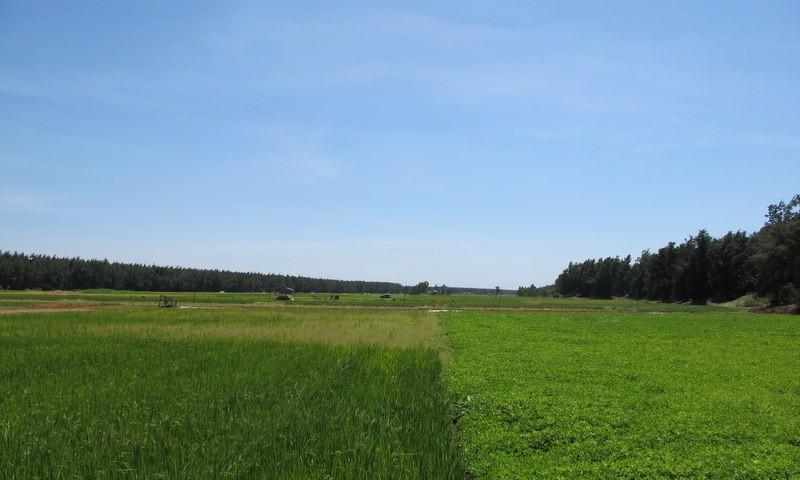 273607=6431-277.jpg