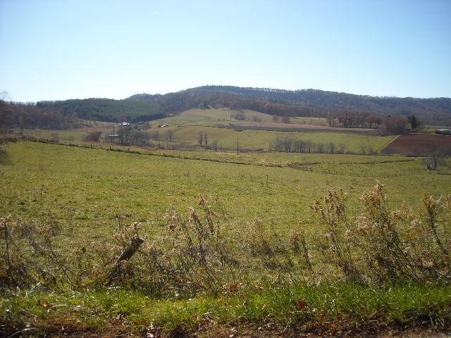 273702=6558-NC%20Oct%202011%20029.jpg