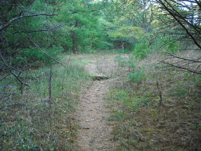 273704=6565-NC%20Oct%202011%20097.jpg