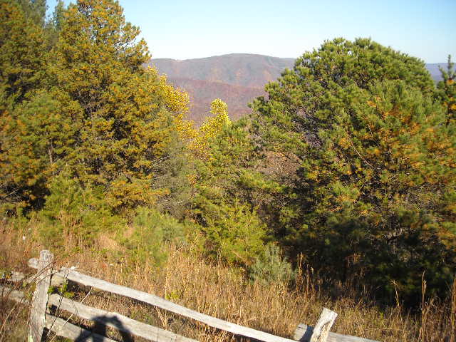273704=6566-NC%20Oct%202011%20046.jpg