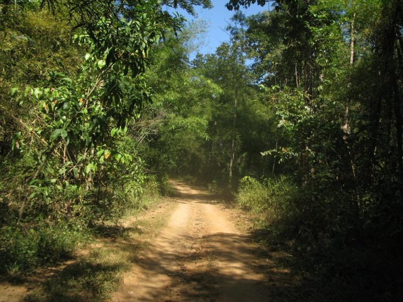 273873=6723-IMG_7070.jpg