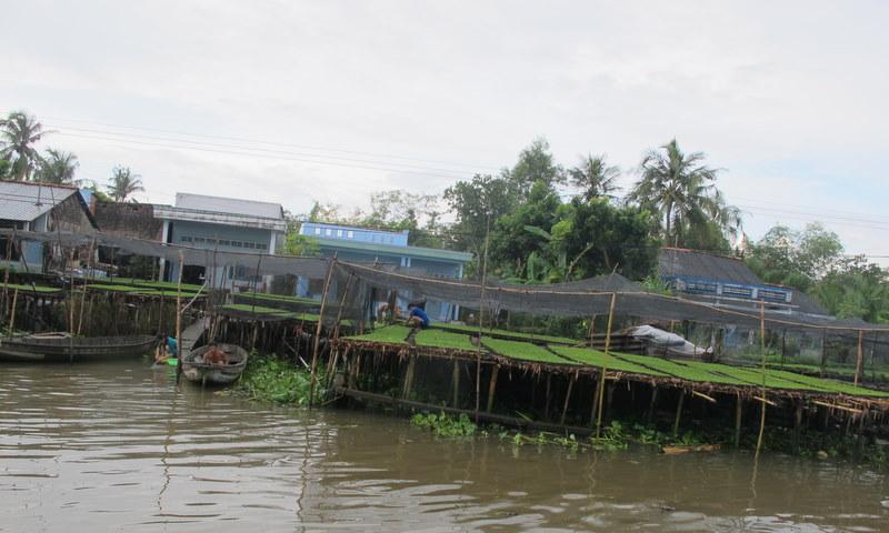 273961=6816-572.jpg