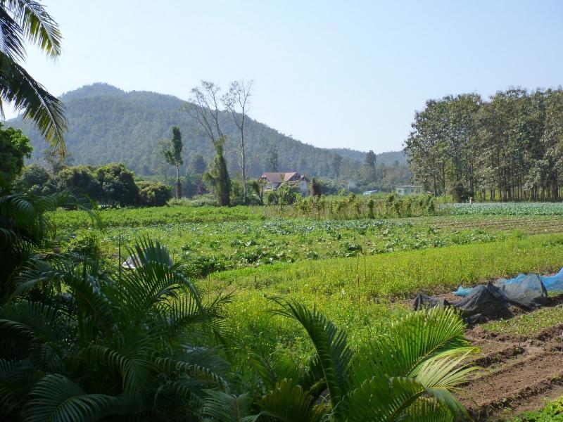 274209=7205-P1000527.jpg