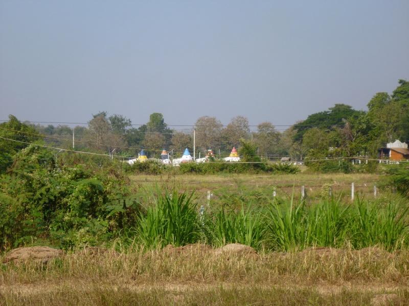 274213=7214-P1000479.jpg