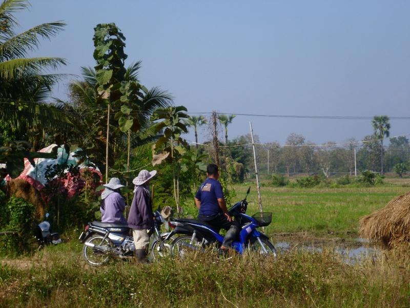 274213=7215-P1000480.jpg