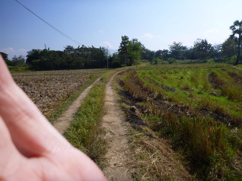 274213=7216-P1000483.jpg
