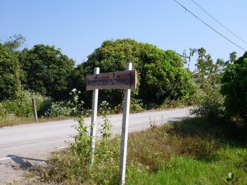 274213=7225-P1000486.jpg