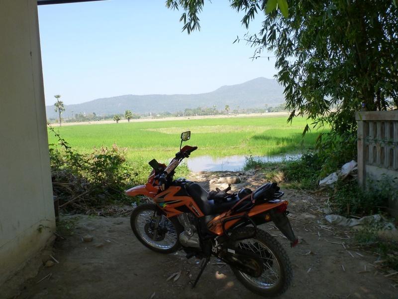 274213=7242-P1000535.jpg
