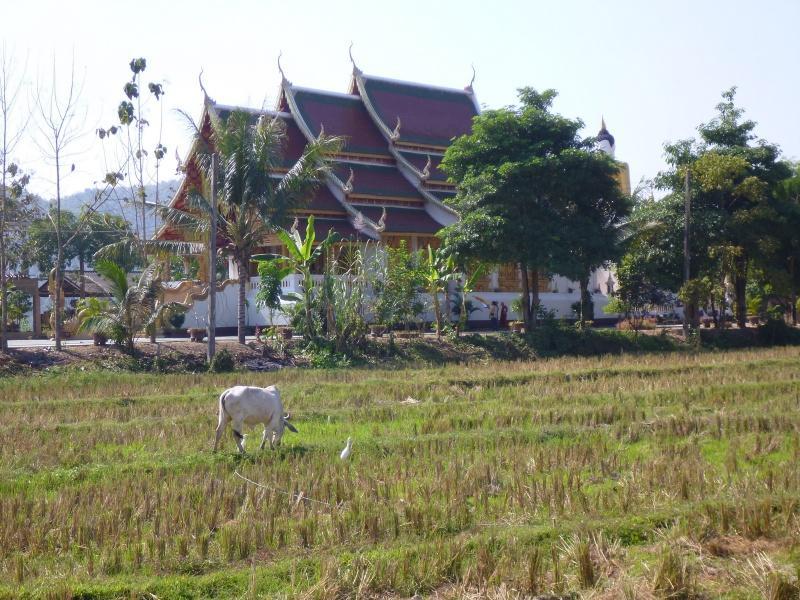 274213=7244-P1000534.jpg