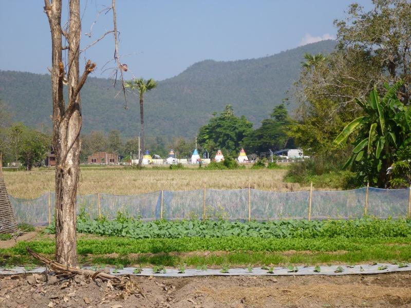 274213=7249-P1000537.jpg