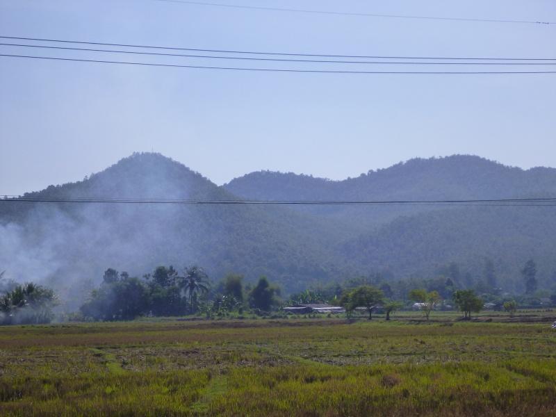 274412=7335-P1000782.jpg