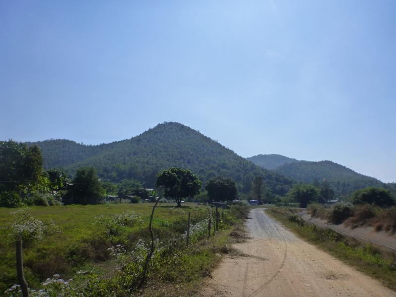 274412=7337-P1000777.jpg