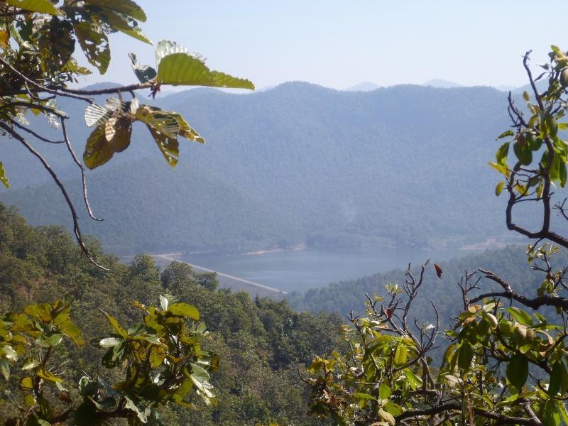 274412=7347-P1000750.jpg