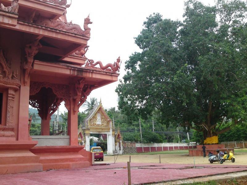 274762=7585-DSC09044.jpg