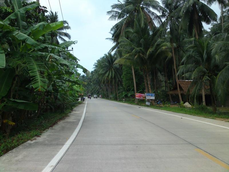 274767=7606-DSC09183.jpg