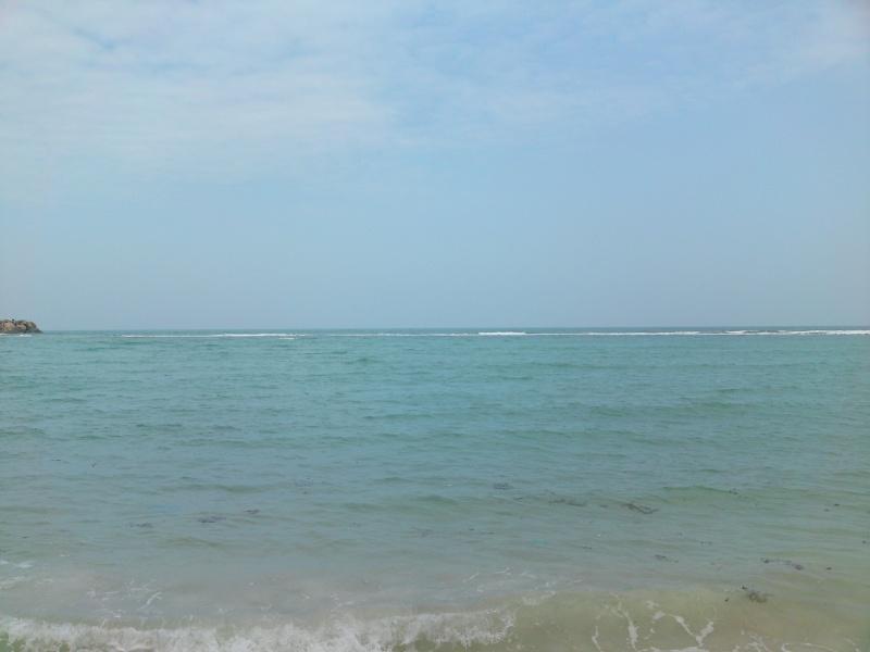 274767=7607-DSC09191.jpg
