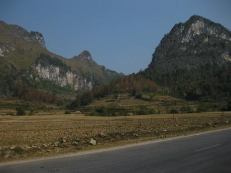 274904=7799-IMG_1113.jpg