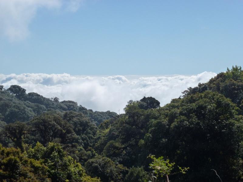 275012=7843-P1000460.jpg