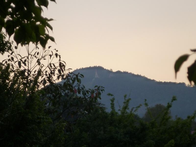 276075=8386-P1010196.jpg