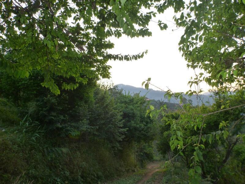 276075=8388-P1010195.jpg