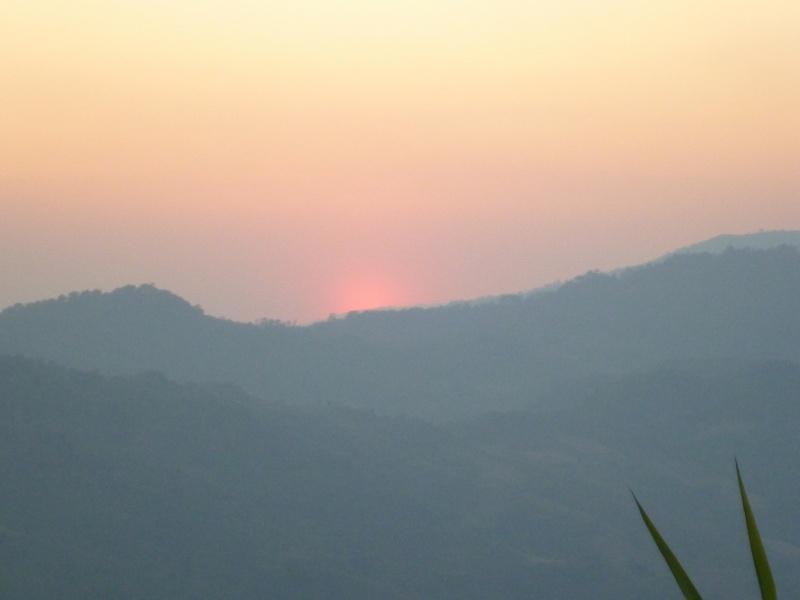 276075=8391-P1010203.jpg