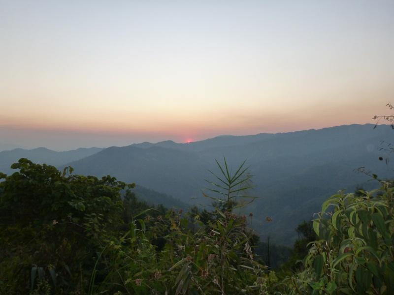 276075=8393-P1010201.jpg