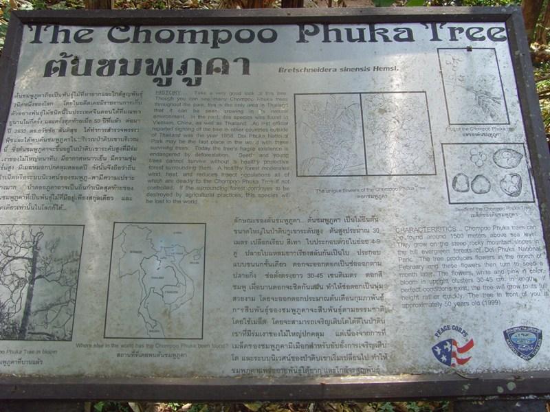 276580=8843-RR%20085.jpg