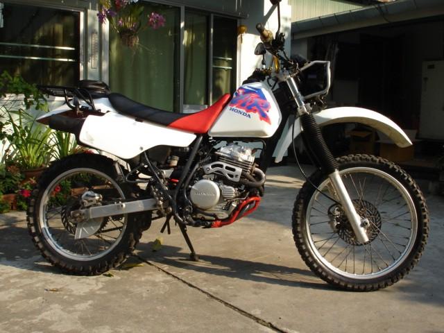 276824=8981-DSC06297.jpg