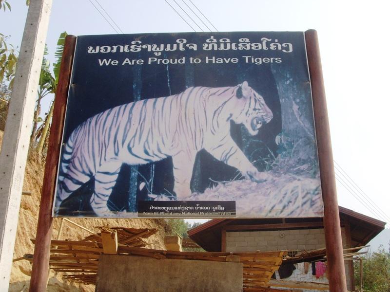 277674=9677-et%20113.jpg